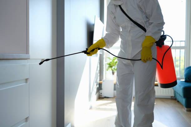 Best HVAC Mold Remediation in Texarkana, TX