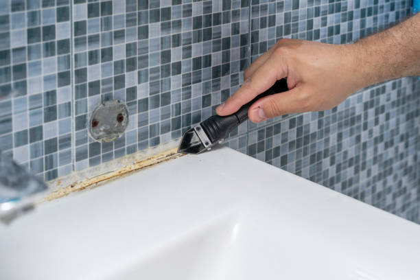 Best Residential Mold Remediation in Texarkana, TX