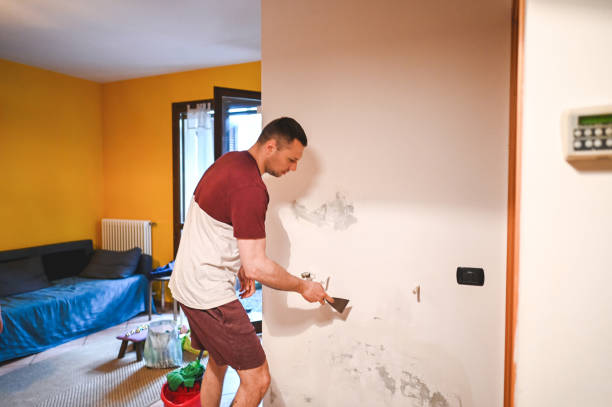 Best Preventive Mold Services in Texarkana, TX